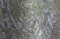 Goose Green fibreglass roof work