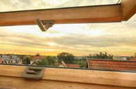 rated Goose Green roof window companies